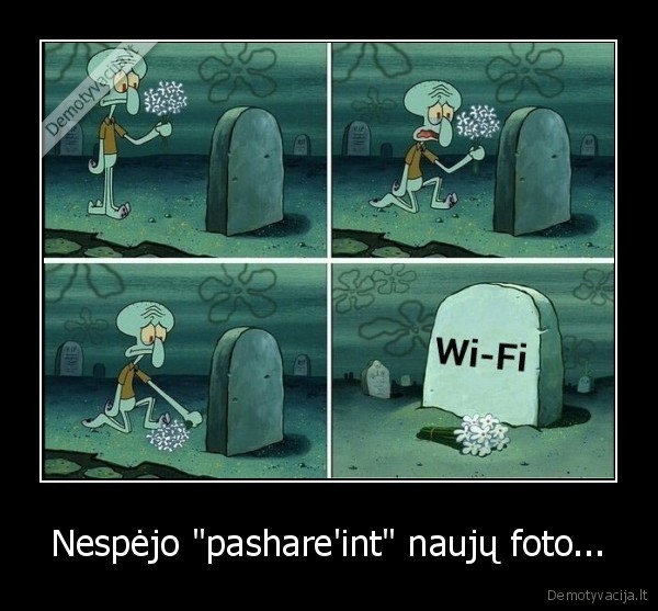 internetas,wi, fi,dingo, wifi