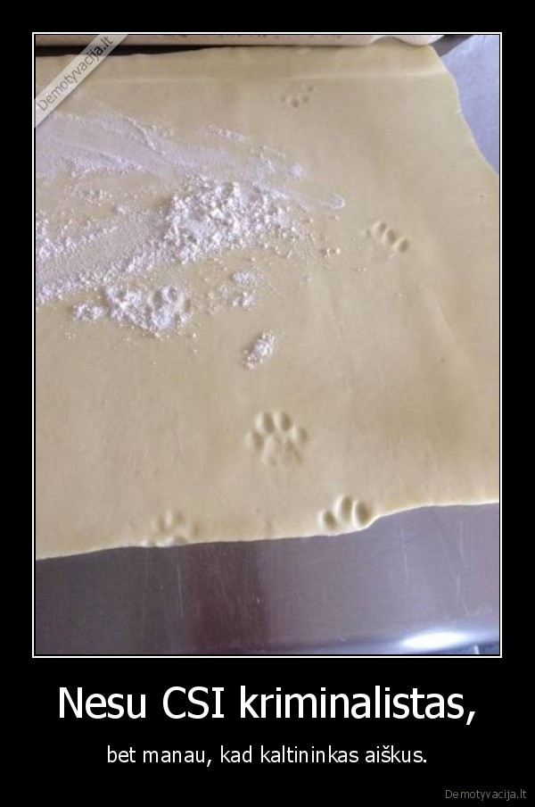 kate,katians,tesla,csi