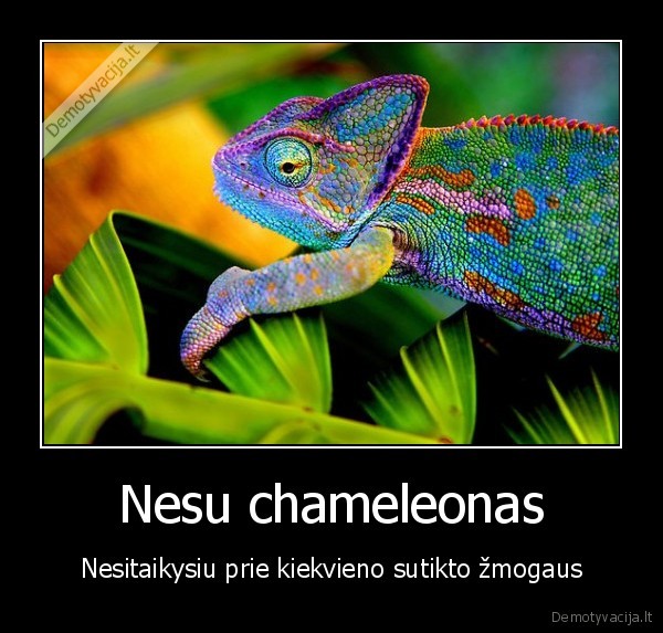 Nesu chameleonas