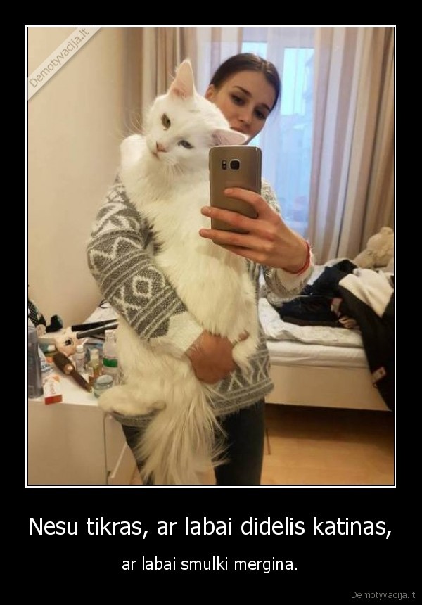 mergina,katinas,meino, meskenas