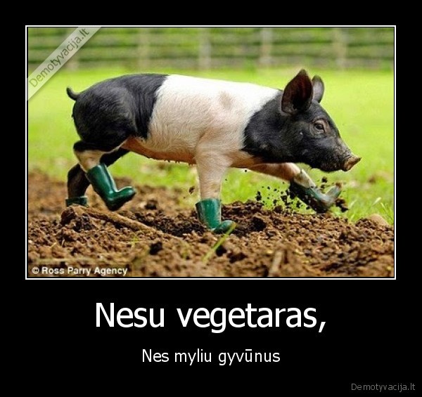 Nesu vegetaras,