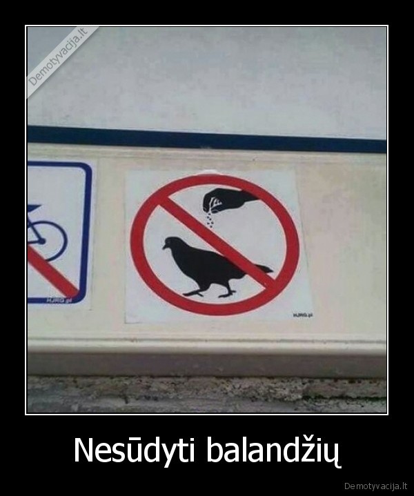 zenklas,neserti, balandziu,beria, druska