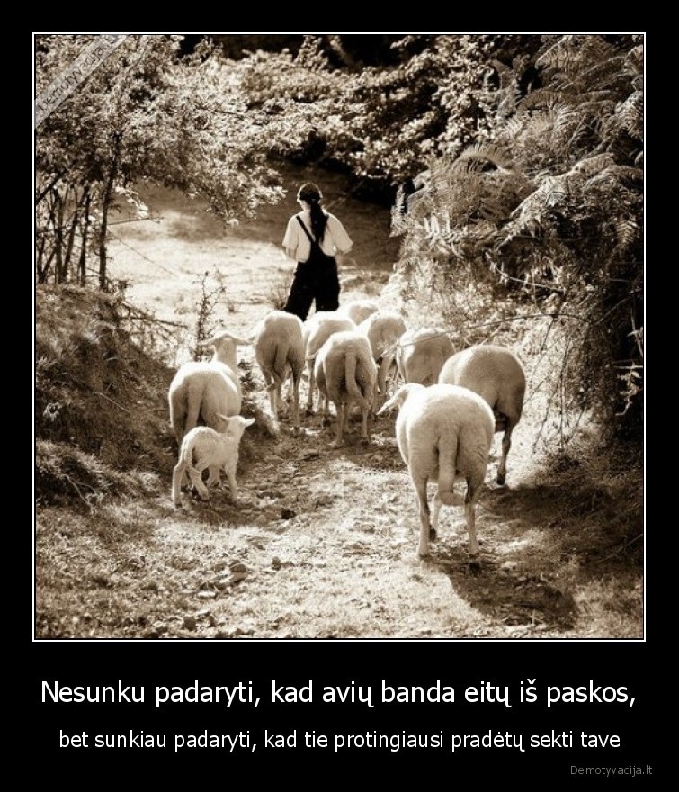 protingi,kvailiai,sekti,sunku