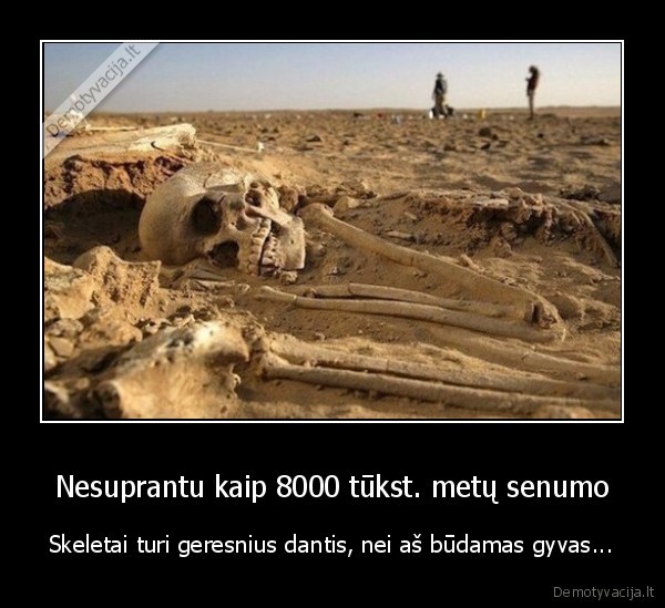 skeletai,kaukole,dantys