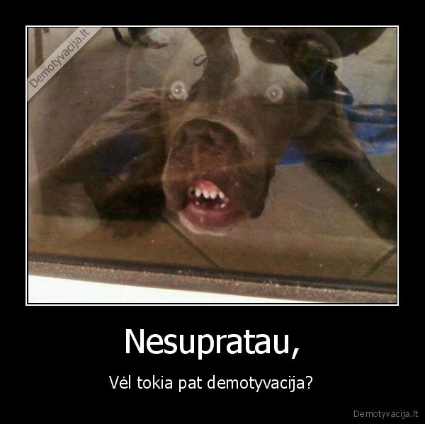 nustokit,kopijuoti,demo,fuuu,jonas,buteliai