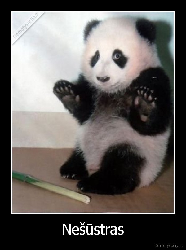 gyvunai,prikolai,seimas,chuck, norris.kubilius, daro, nesamones,bam, bam, tavo, teva