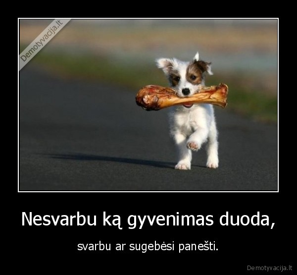 Nesvarbu ką gyvenimas duoda,