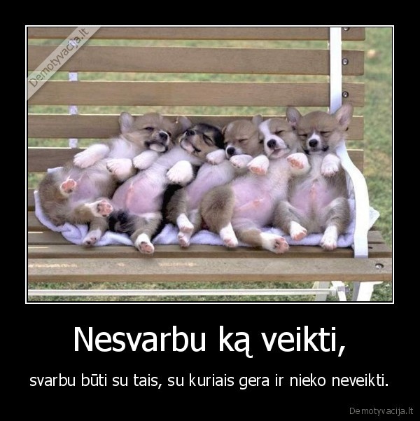 Nesvarbu ką veikti,