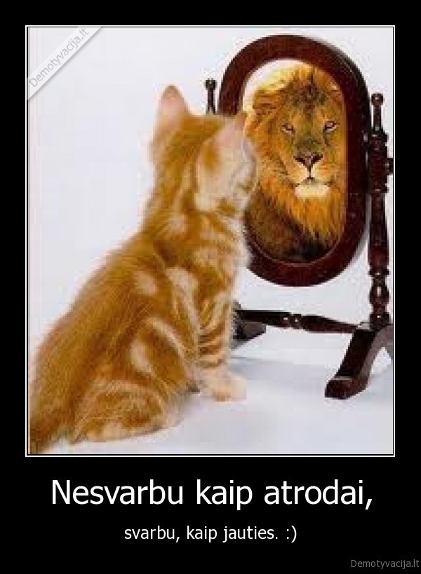 nesvarbu,isvaizda,atrodyti,jaustis