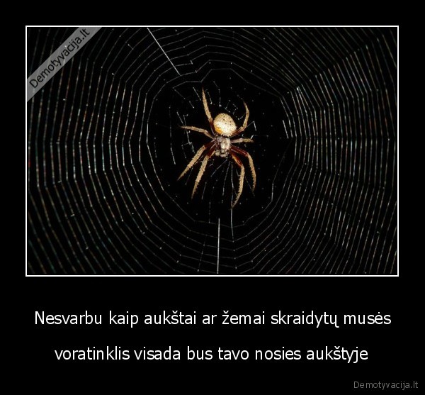 nervuoja, voratinkliai, kurie, painiojasi, aplink, galva