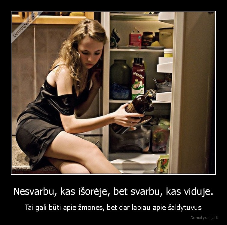 isore,vidus,zmogus,saldytuvas