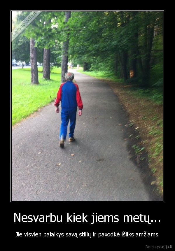 forsai,stilius,paxodke,vingio, parkas