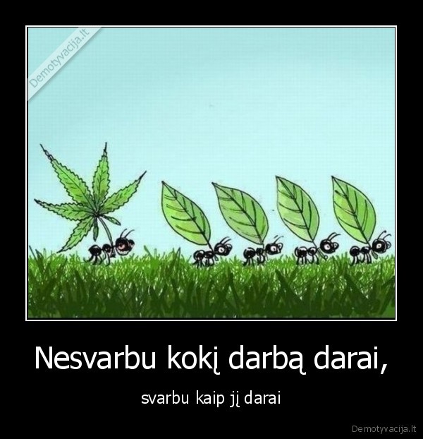 skruzdes,darbas,kanape