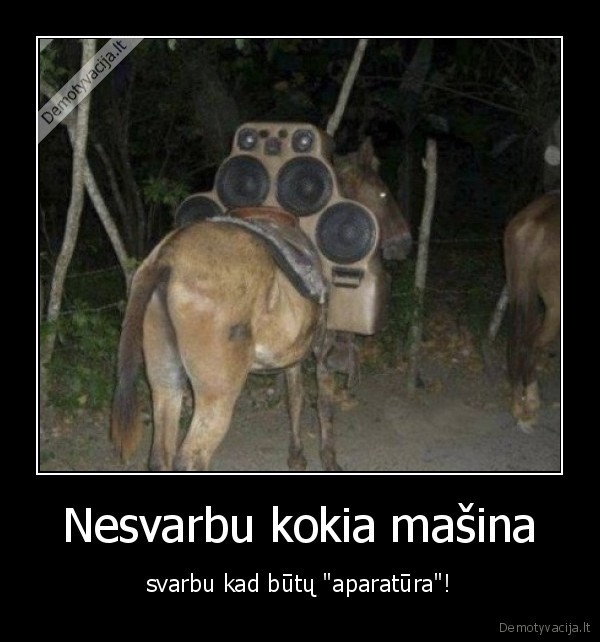 masinos,muzika,koloneles,pimp, my, ride