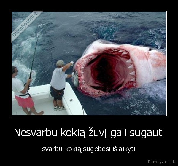 Nesvarbu kokią žuvį gali sugauti