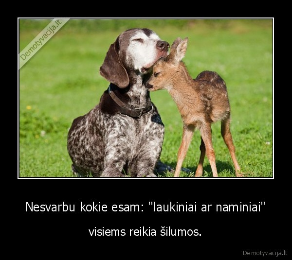 Nesvarbu kokie esam: &quot;laukiniai ar naminiai&quot;