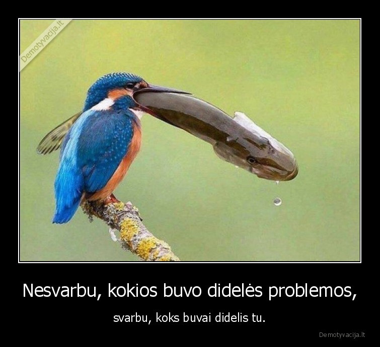didelis,didis,zmogus,problemos