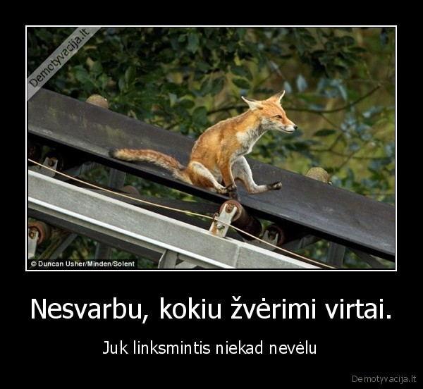 Nesvarbu, kokiu žvėrimi virtai.