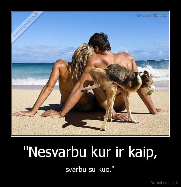 jo, visiskai, tas, pats, kur, ir, kaip, ane,nesamone,krc,suo,pora,zmones