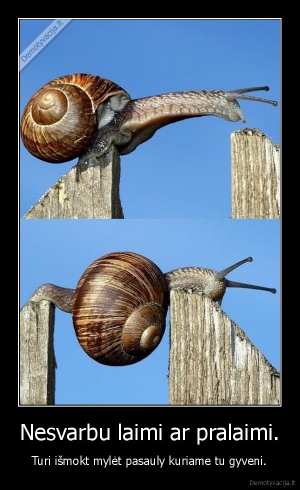 Nesvarbu laimi ar pralaimi.