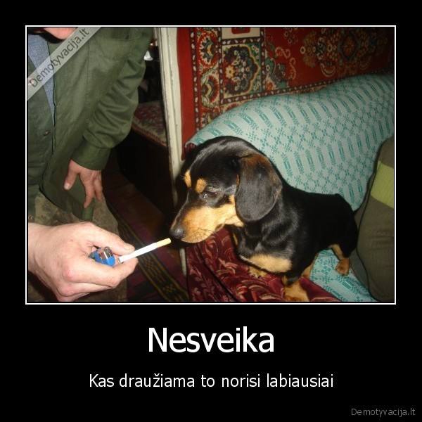Nesveika