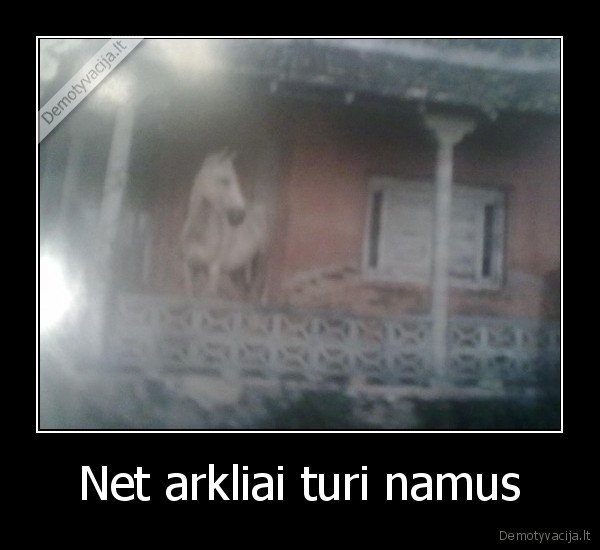 Net arkliai turi namus