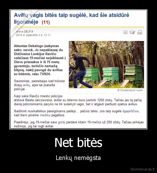 lenkai,voge, bites,sugele, bites