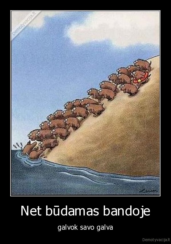 banda,galvok, savo, galva,bebrai,gelbejimo, ratas,gelbejimosi, ratas