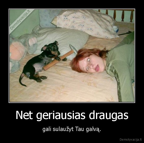 Net geriausias draugas