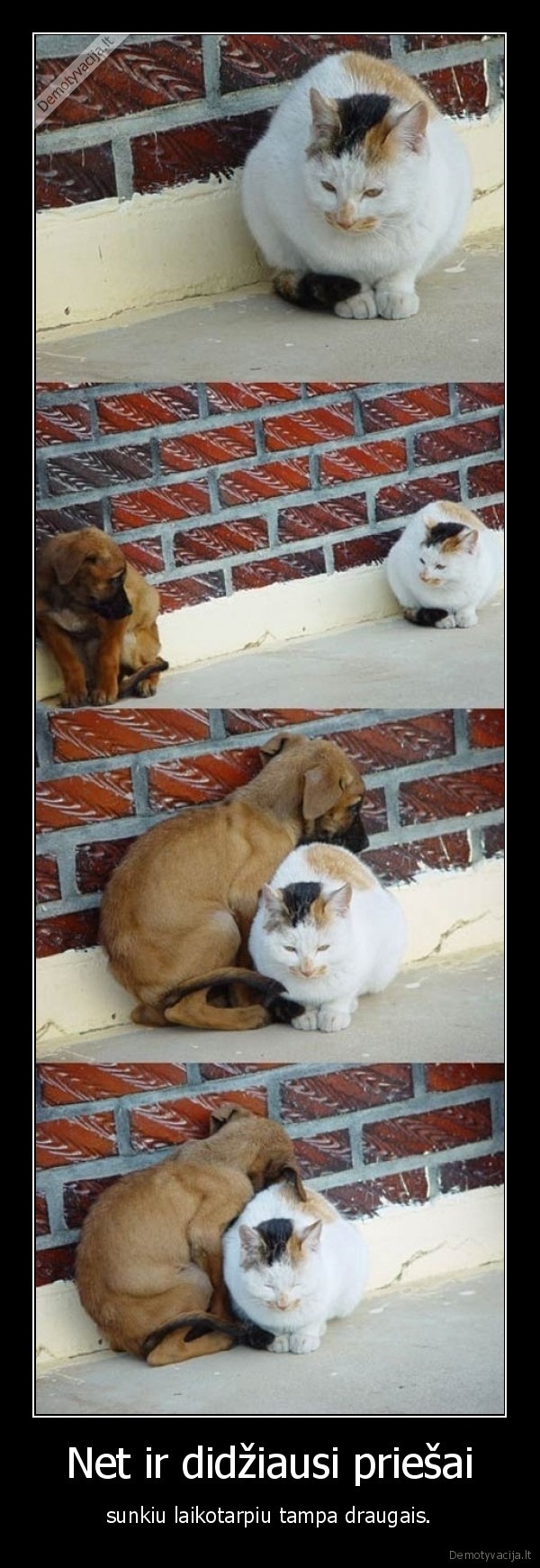 Net ir didžiausi priešai