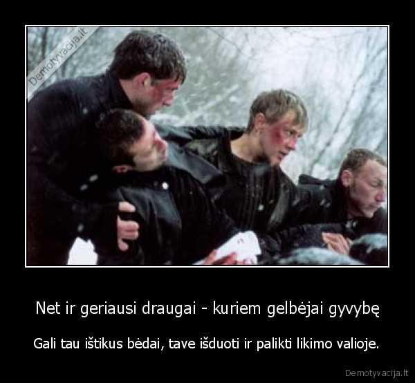 bumer,draugai,isdavikai,kaziolai, oziai