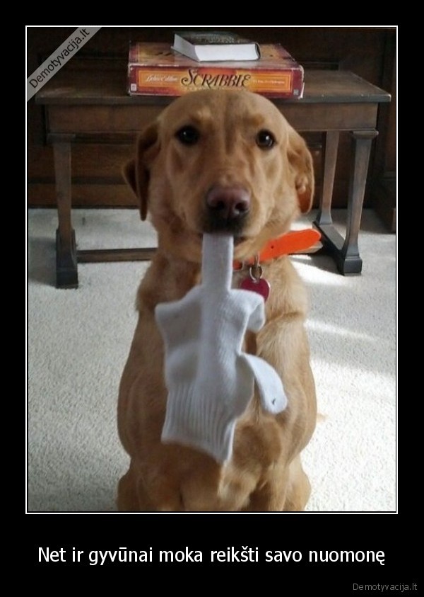 Net ir gyvūnai moka reikšti savo nuomonę