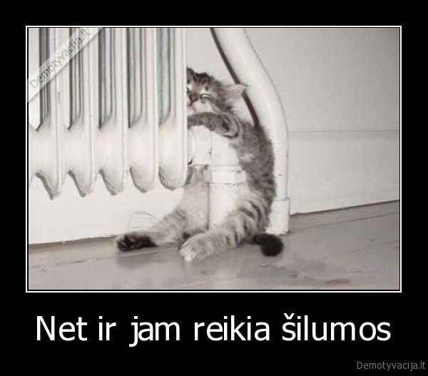 Net ir jam reikia šilumos