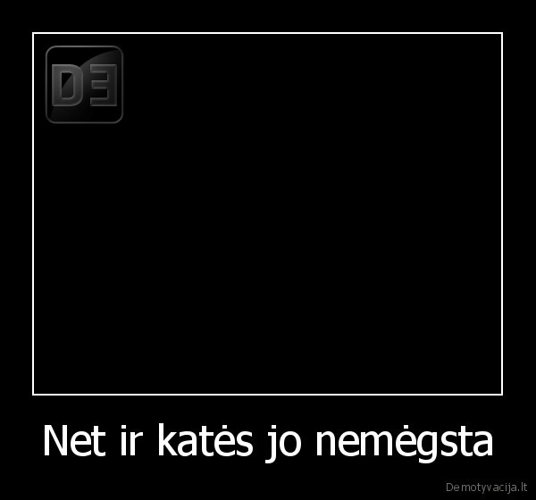 cat, vs, bieber,cat, wins