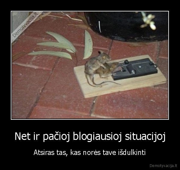 Net ir pačioj blogiausioj situacijoj