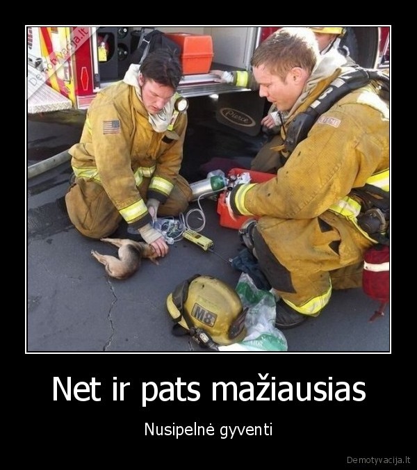 Net ir pats mažiausias