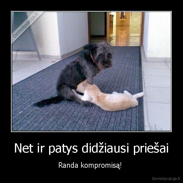 Net ir patys didžiausi priešai