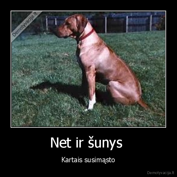 sunys