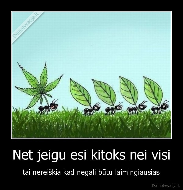 skruzdeliukas, narkomanas