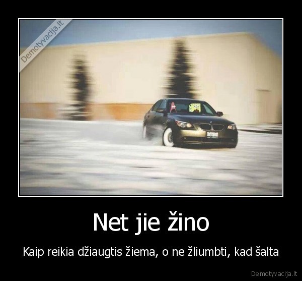 kempiniukas, ir, patrikas,dziaugiasi, ziema,driftas, ant, sniego