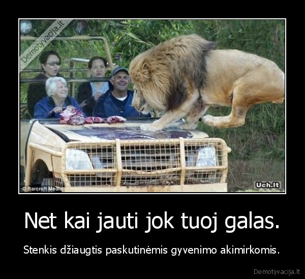 Net kai jauti jok tuoj galas.