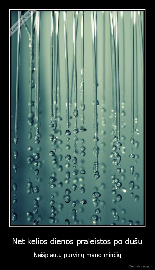 eik, tu, nx, dusas, purvas