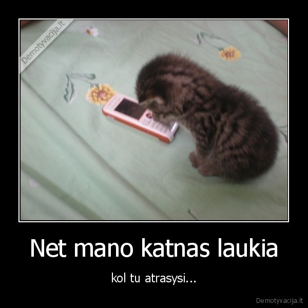 o, tu, suka, vis, neatrasai, rozine, gelyte