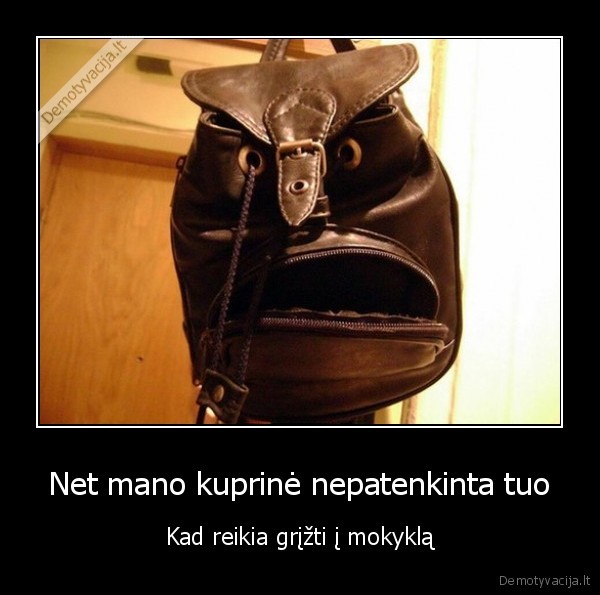 mokslo, metai,kuprines, veidas