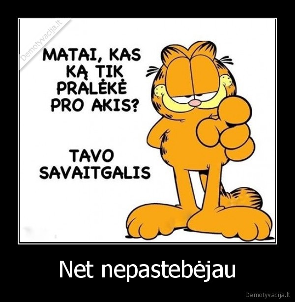 Net nepastebėjau
