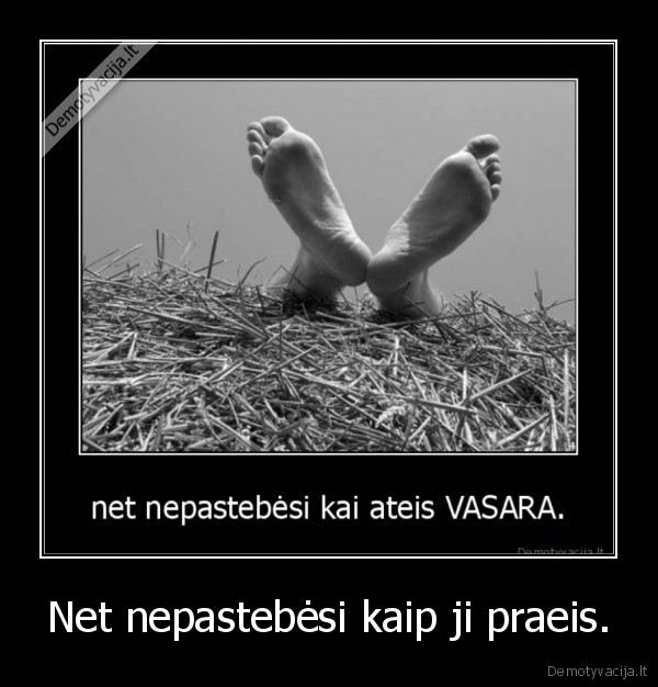 kubilius, kaltas, kad, vasara, trumpa