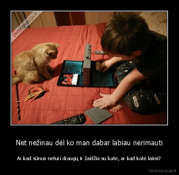 zaidimas, su, kate,laivu, musis