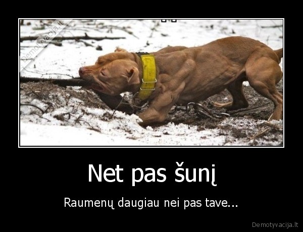 suo,raumenys,sportas