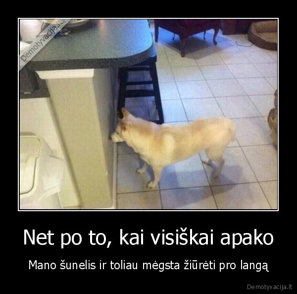 juodas, humoras,aklas, suo