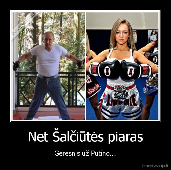vladimiras, putinas,monika, salciute